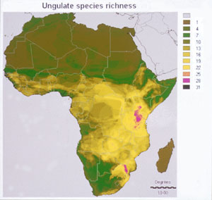 GIS image showing number of ungulate species