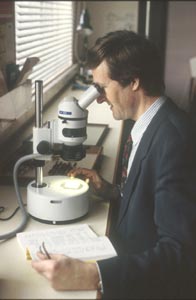 Entomologist identifying canopy insects