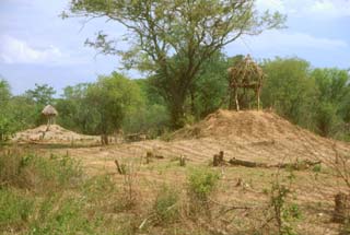 Elephant look-out platforms