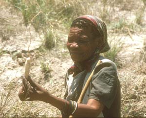 Bushman woman with tuber